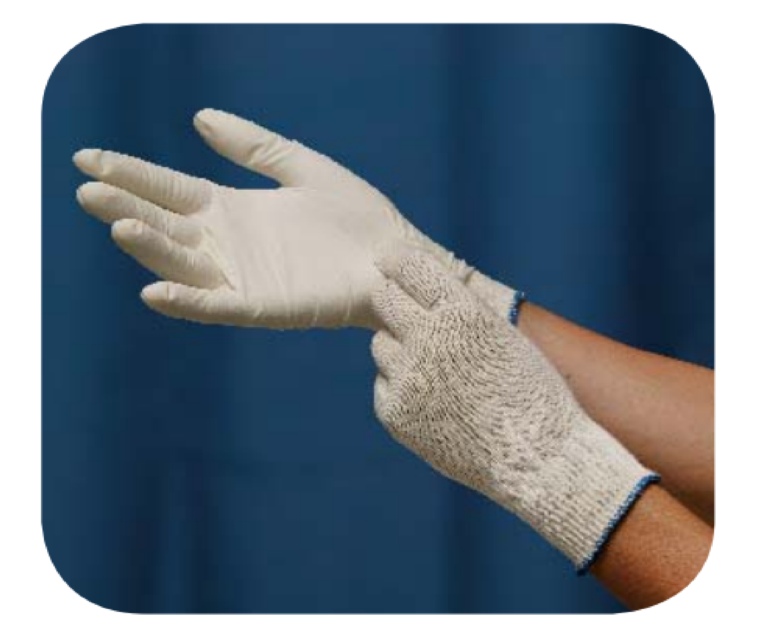 Glove Liners, Adult