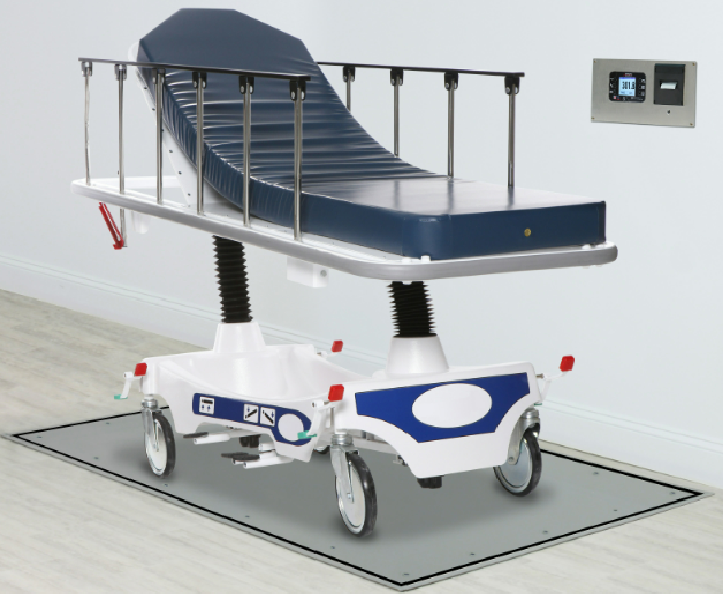 Solace In Floor Dialysis Scales