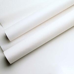 Everyday Exam Table Barriers, Crepe Rolls