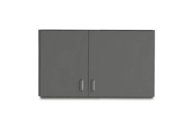 42" Wall Cabinet with 2 Doors