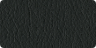 Classic Black