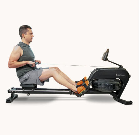 AquaVitae Water Rower