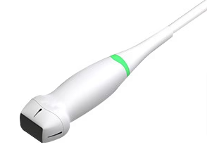 P5-1Q - Phased Array Transducer