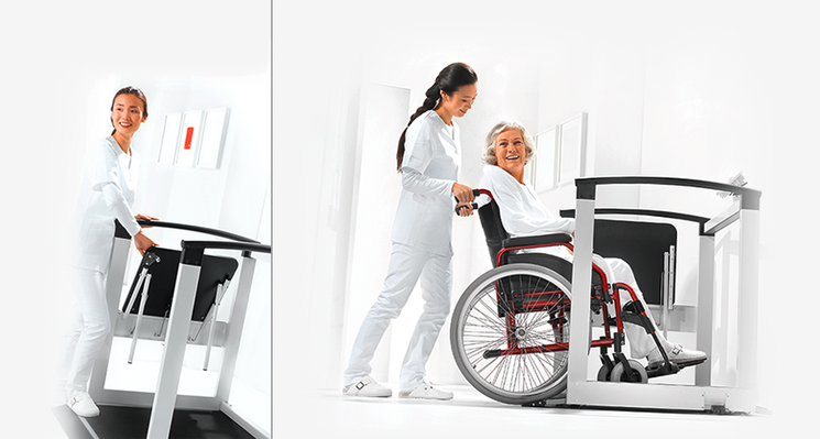 Multi-Function Wheelchair and Handrail Scale