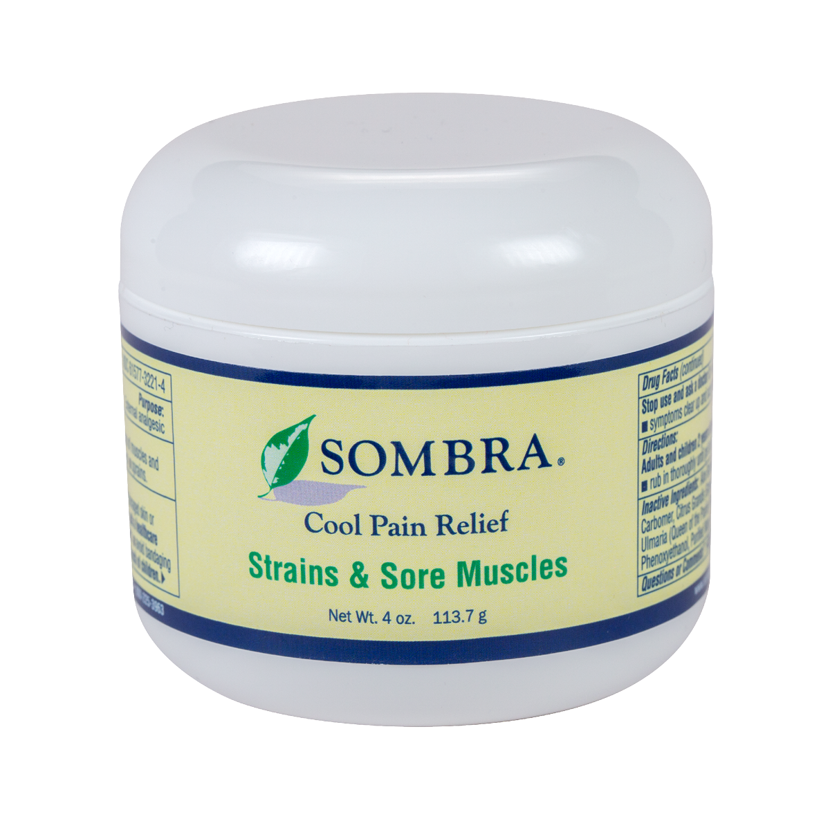 Cool Therapy Pain Relieving Gel