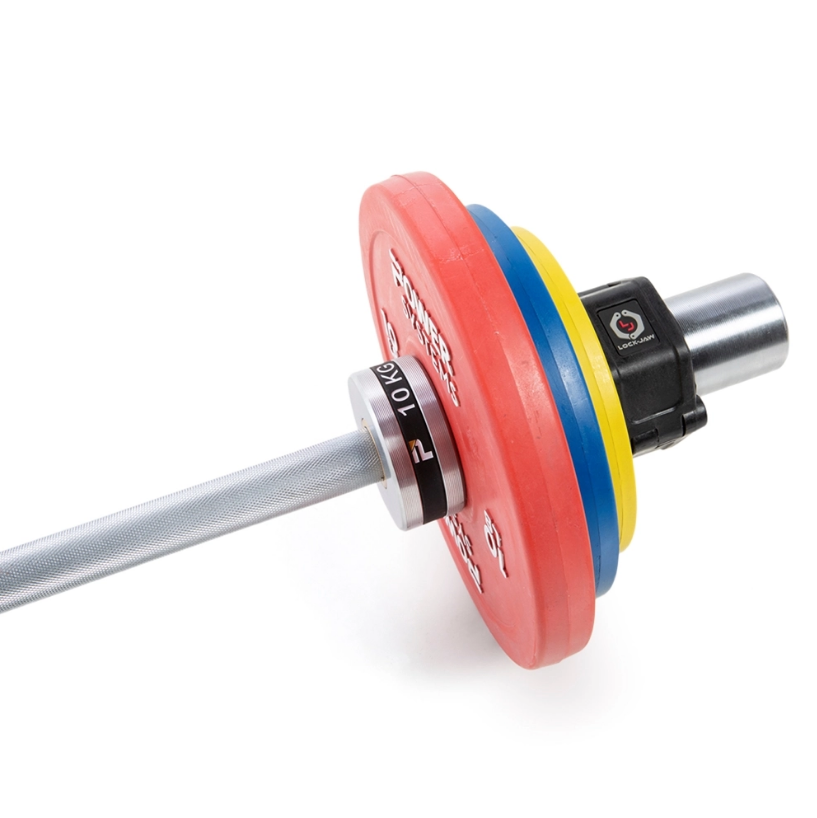 Training Plate Olympic Colors