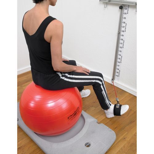Professional Rehab and Wellness Station