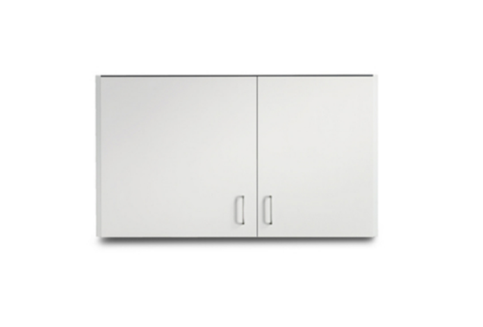 42" Wall Cabinet with 2 Doors