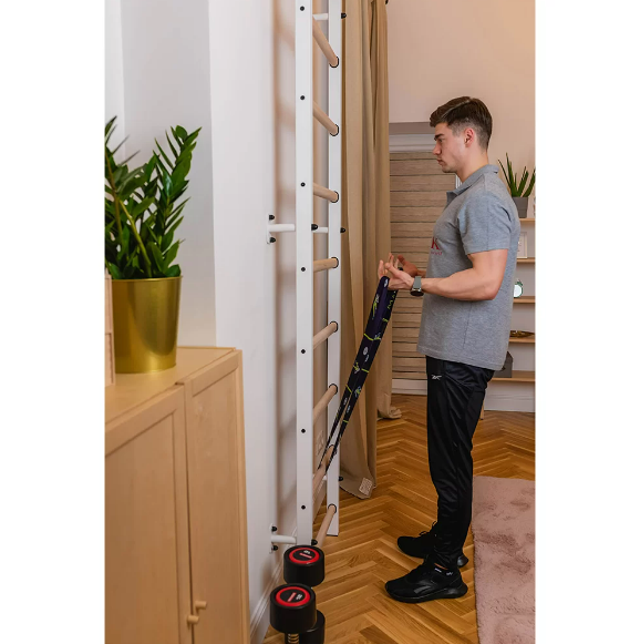 700 Wall Bars with Steel Frame and 9 Solid Beech Rungs