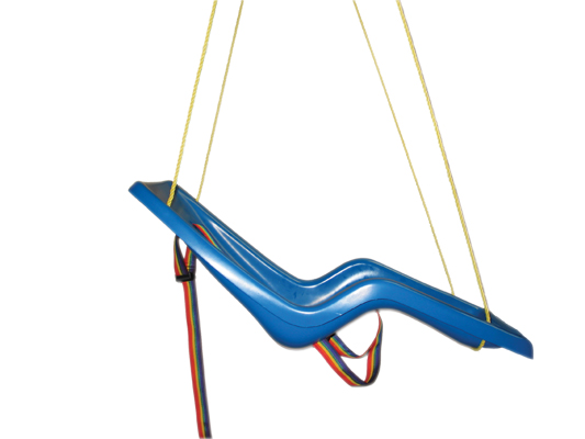 Full Body Swing Seat