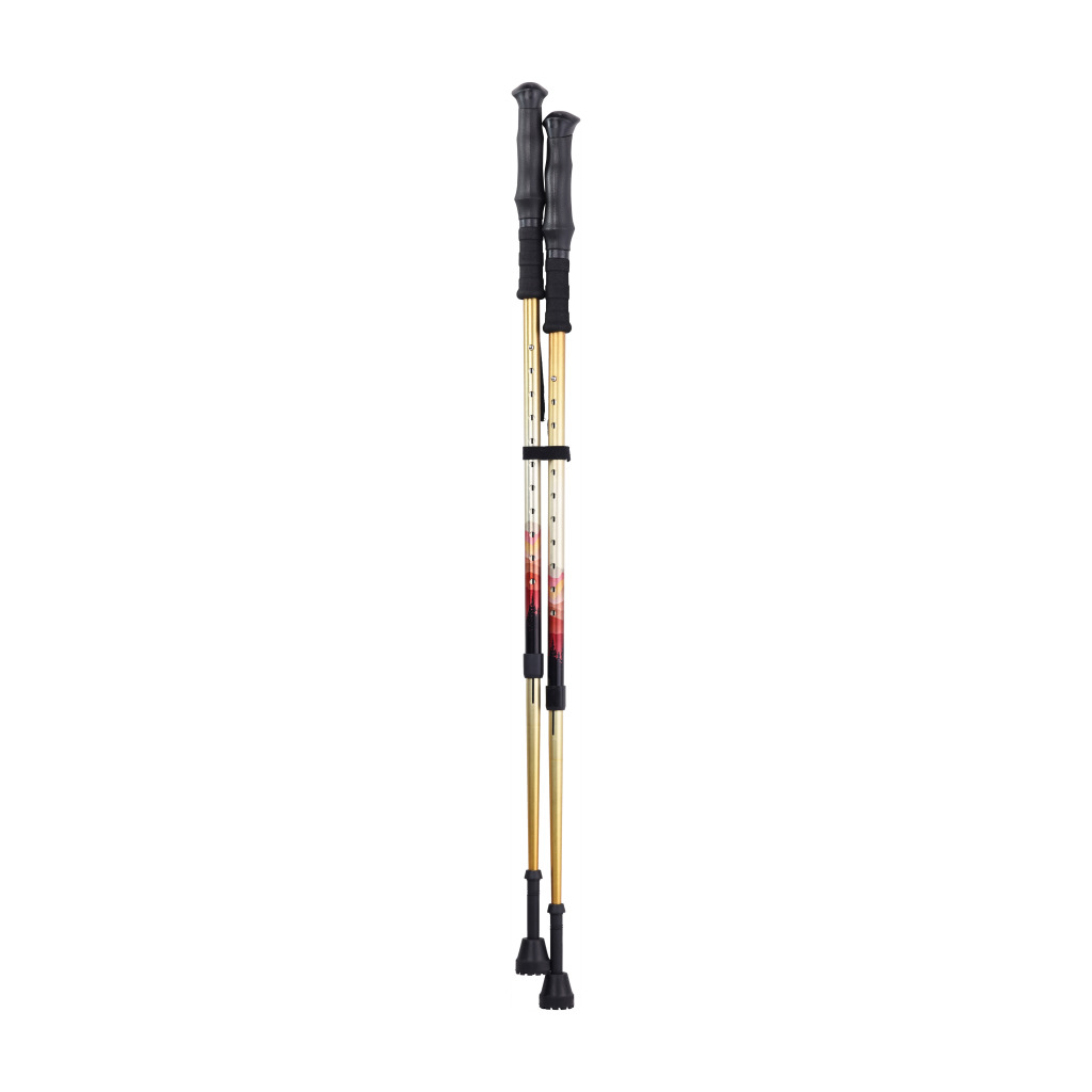 Drive Summit Walking Poles