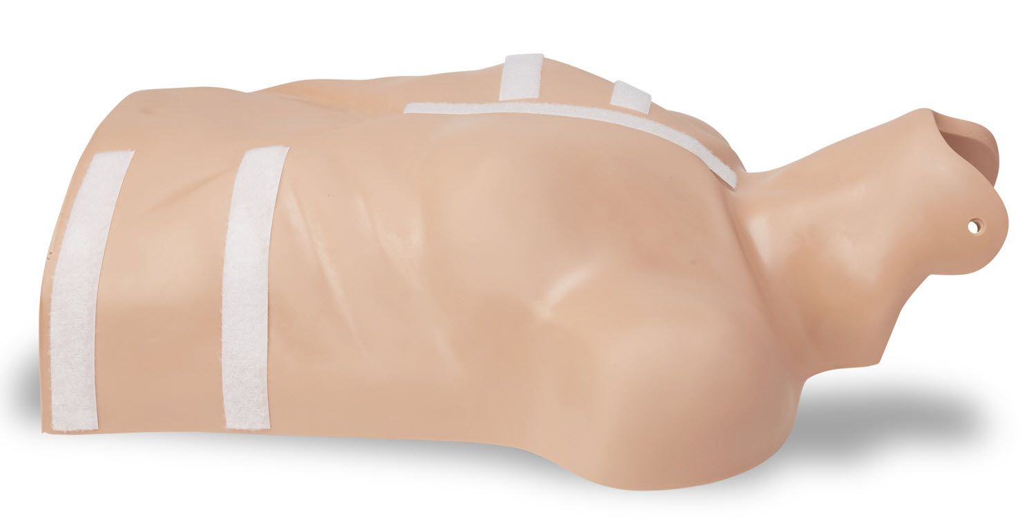 CPR D Demo Manikin