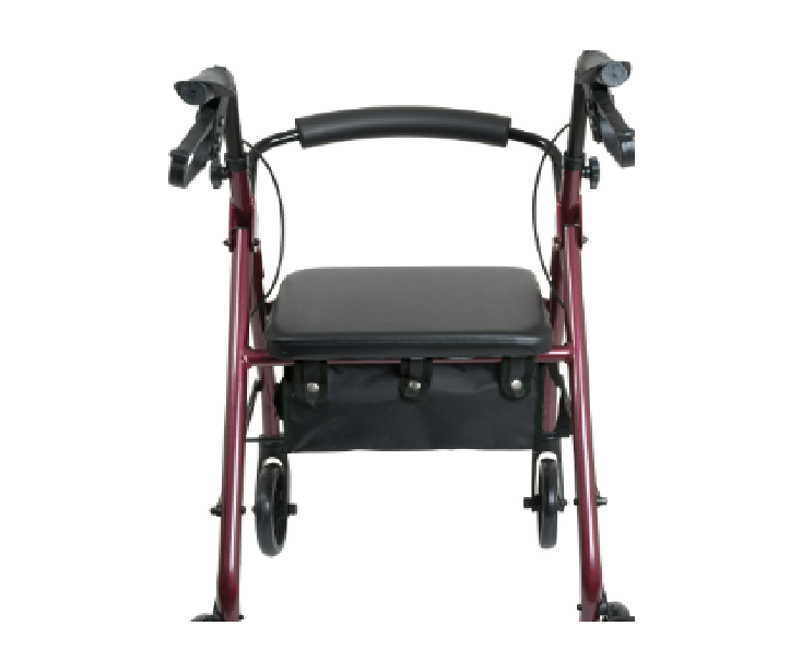 ProBasics Junior Rollator with 6